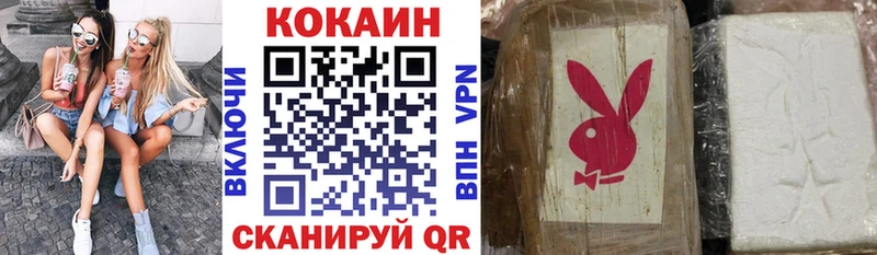 Купить где  Дегтярск  КОКАИН Fish Scale 
