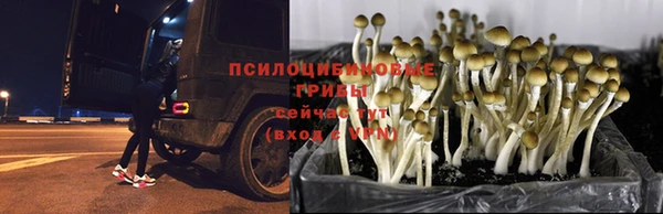a pvp Волоколамск
