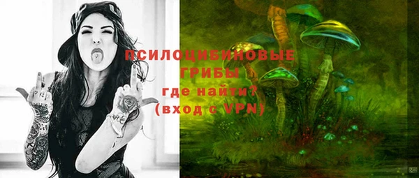 гашик Волосово