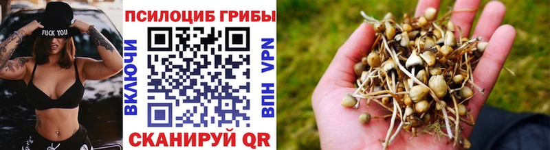 Купить где  Дегтярск  Псилоцибиновые грибы Magic Shrooms 